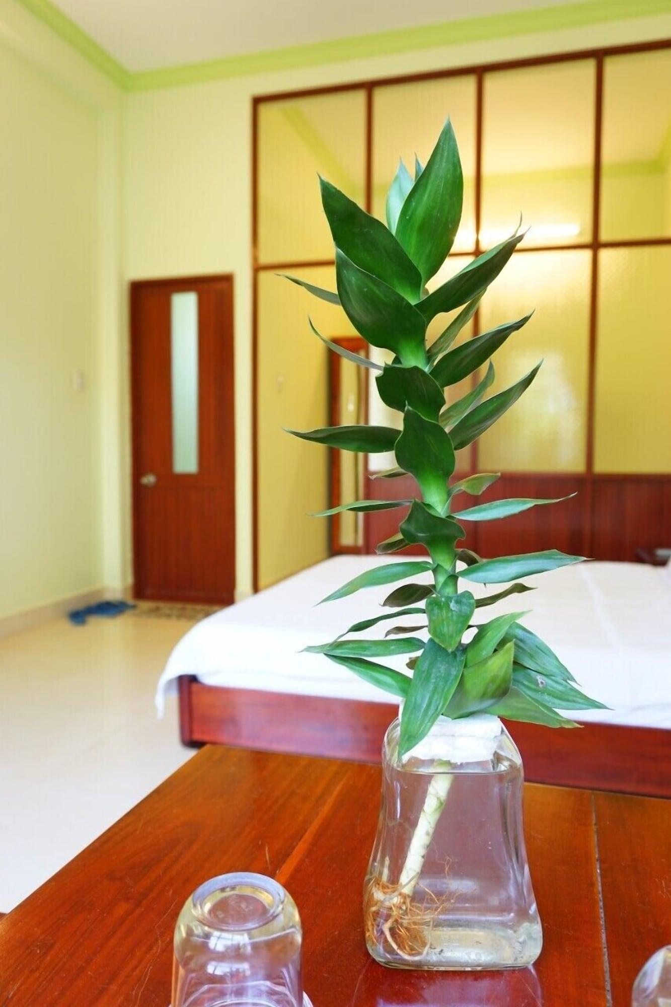 Cat Tien Guesthouse Mui Ne Zewnętrze zdjęcie